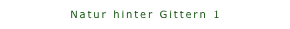Natur hinter Gittern 1