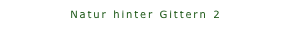 Natur hinter Gittern 2