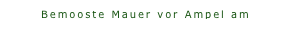 Bemooste Mauer vor Ampel am Herrengarten