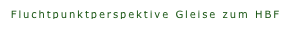Fluchtpunktperspektive Gleise zum HBF DA II